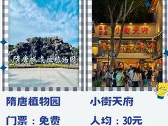 -一记洛阳菜·糖醋小排·水席(十字街店)