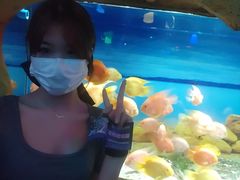 -水濂山乐民游艺园