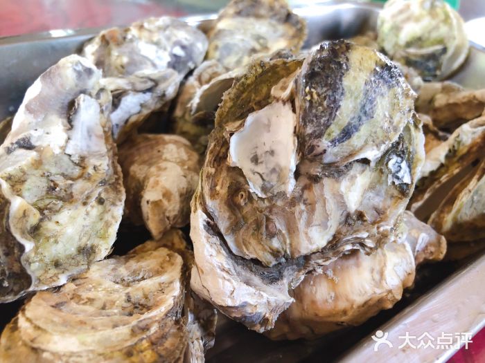 罗源湾海上鱼排86号图片