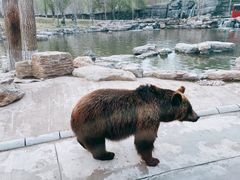 -北京野生动物园
