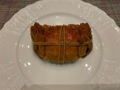 -黄记大闸蟹专卖店·活蟹·醉蟹