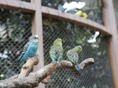 -南宫五洲植物乐园