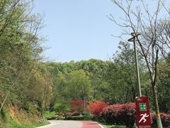 -桃花岭景区