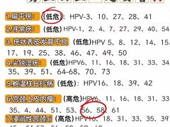 -奥加美术馆