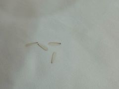 -榕记(番禺总店)