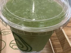 -油梨树 AVOCADO TREE(亮马桥店)