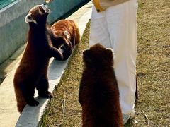 -水上乐园·欢乐世界