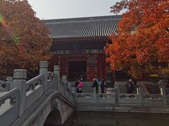 -香山公园