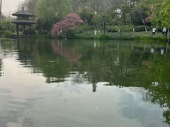 -西湖游船