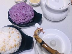 -新仙清汤牛腩(铜锣湾店)