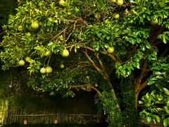 -普陀山风景名胜区-法雨禅寺