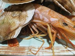 -蟹将军·松叶蟹和牛日料放题自助(K11店)