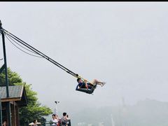 -梦幻奥陶纪景区