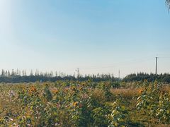 -嘉北郊野公园
