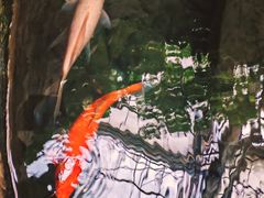 -南山植物园