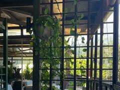 -野蔓果·山野菜(西湖景区·龙井茶田店)