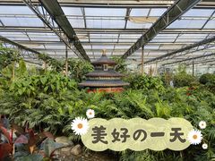 -南宫五洲植物乐园