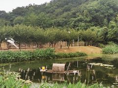 -南京老山国家森林公园
