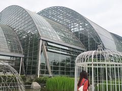 -南山植物园