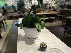 -Peet's 皮爷咖啡(陆家嘴中心店)