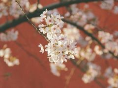 -浙江省杭州高级中学(贡院校区)