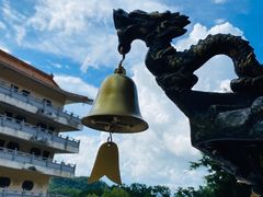 -深圳仙湖植物园