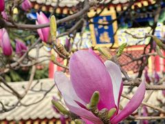 -西安市广仁寺