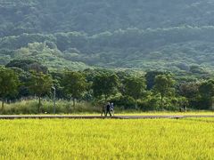 -风云岭森林公园