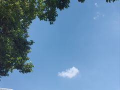 -雅苑中餐厅