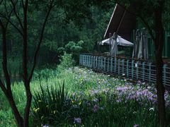 -西湖风景区-江洋畈生态公园