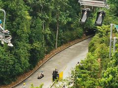 -圣淘沙天际线斜坡滑车