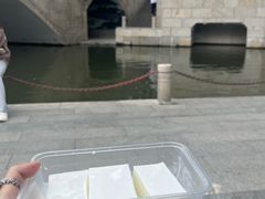 -荔湾湖公园
