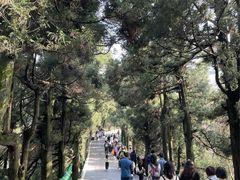 -南岳衡山风景名胜区-南岳大庙