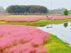 -江苏三台山国家森林公园