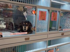 -FAELING PETS美天灵宠物(合生汇店)