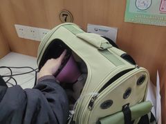 -联合动物医院(光谷诊疗中心)