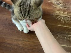 -参差咖啡(水果湖公园店)