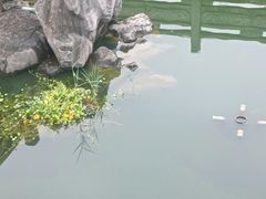 -香积寺