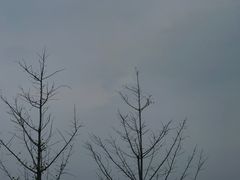 -象山森林公园