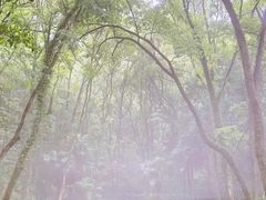 -瑶琳仙境