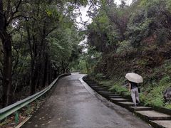 -清溪森林公园