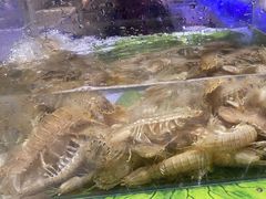 -宴立方海鲜自助(义乌万达广场店)