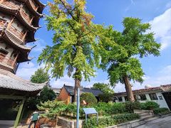 -南通濠河风景名胜区