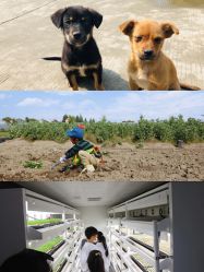 -麦粒鸟亲子游