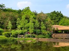 -云溪植物园