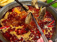 -黄潇洒老火锅(九眼桥宏济巷店)