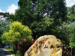 -广州白江湖森林公园