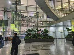 -河内内排国际机场