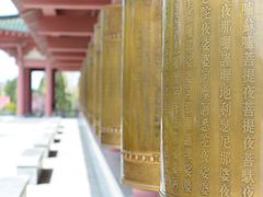 -龙口南山旅游景区