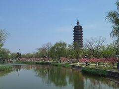 -西海子公园